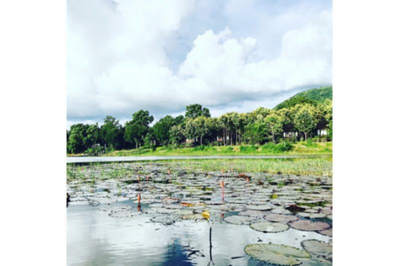 Villa Inle Boutique Resort Nyaung Shwe Kültér fotó